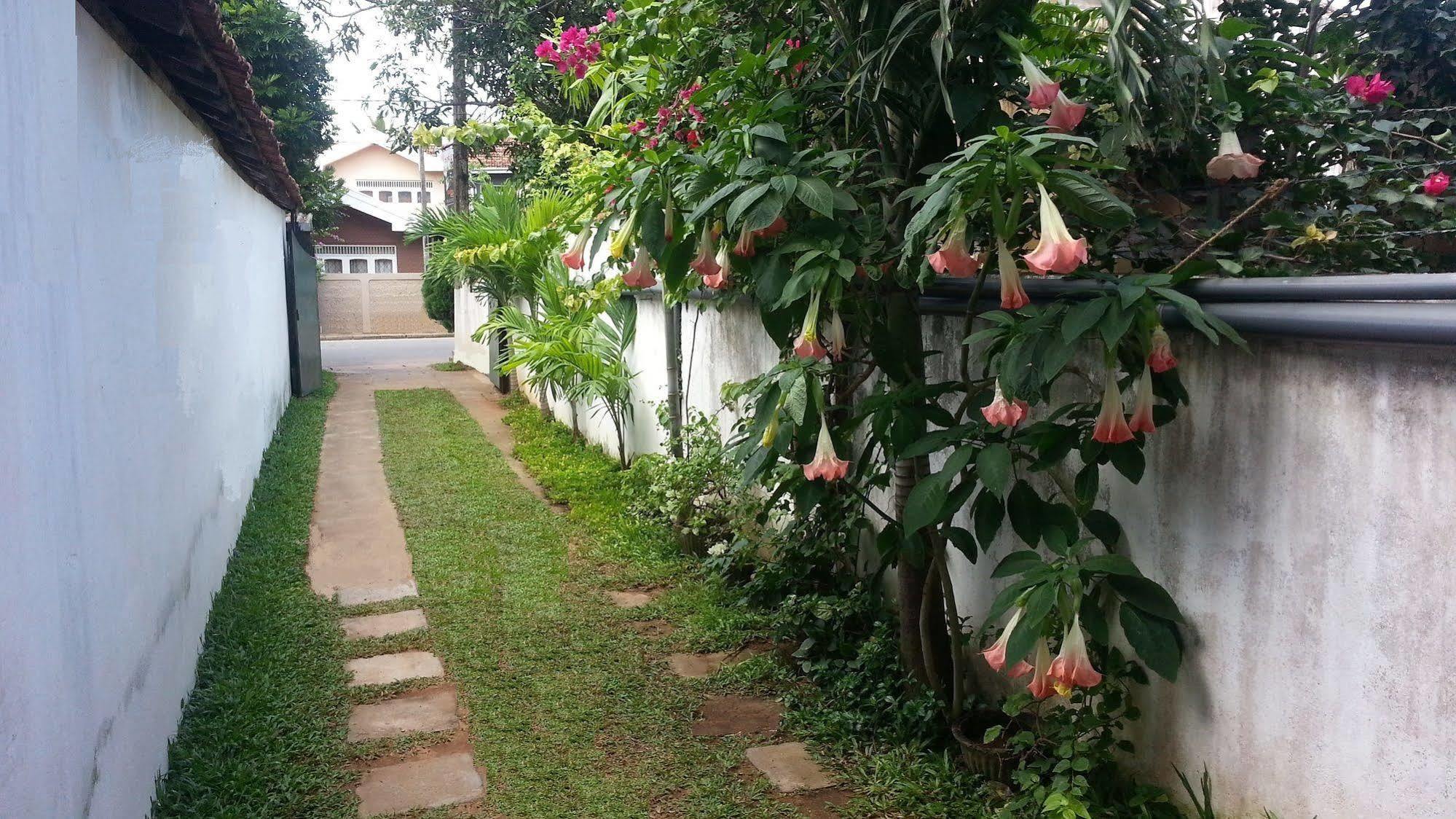 Hotel Dorset Negombo Exterior photo